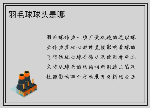 羽毛球球头是哪